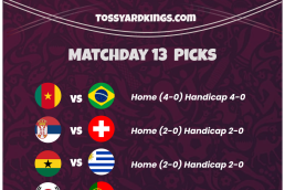 World Cup Picks - Matchday 13 Picks